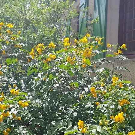 Maison De Charme Avec Jardin Clos Hébergement de vacances Rivedoux-Plage