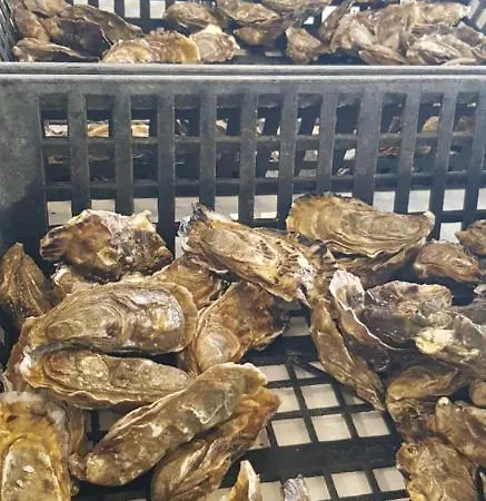 Casa vacanze Maison De Charme Avec Jardin Clos